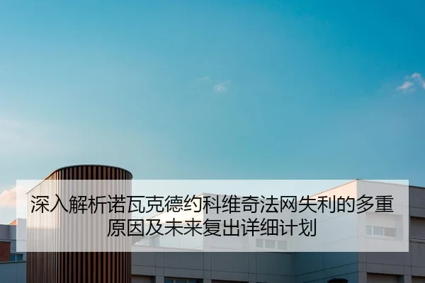 深入解析诺瓦克德约科维奇法网失利的多重原因及未来复出详细计划（JXF SPORTS）